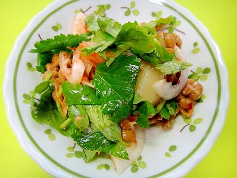 サラダ玉ねぎと三つ葉のキムチ納豆